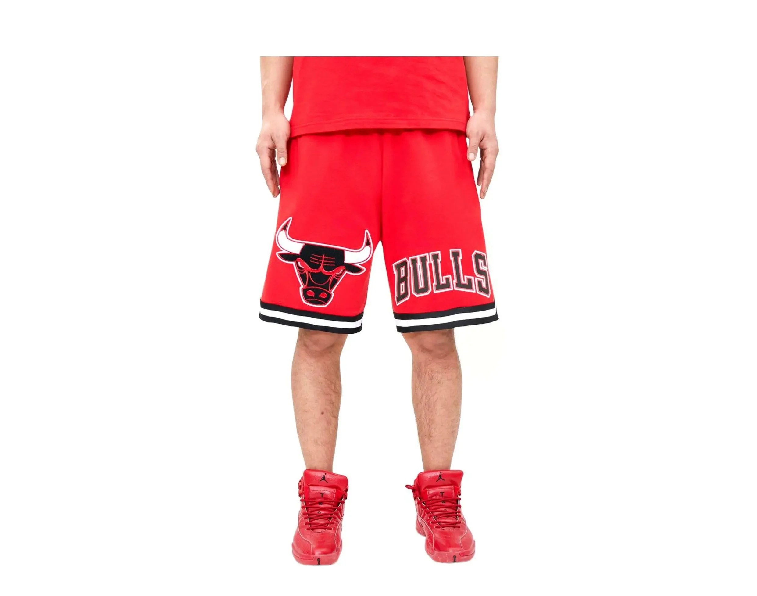 Pro Standard Nba Chicago Bulls Pro Team Men's Shorts Cotton Blend - Image 4
